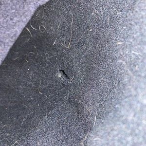 Don’t mind the cat hair my cat loves this cat I’ll clean it before sending